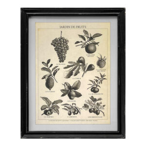 Framed Vintage Print - Jardin de Fruits
